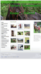 Mobile Screenshot of kinder-ponyhof.com